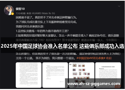 2025年中国足球协会准入名单公布 这些俱乐部成功入选