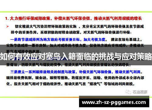 如何有效应对塞鸟入籍面临的挑战与应对策略
