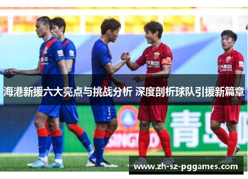 海港新援六大亮点与挑战分析 深度剖析球队引援新篇章