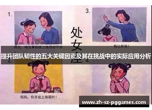 提升团队韧性的五大关键因素及其在挑战中的实际应用分析