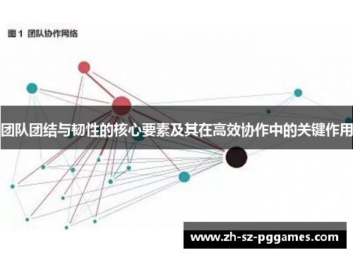 团队团结与韧性的核心要素及其在高效协作中的关键作用